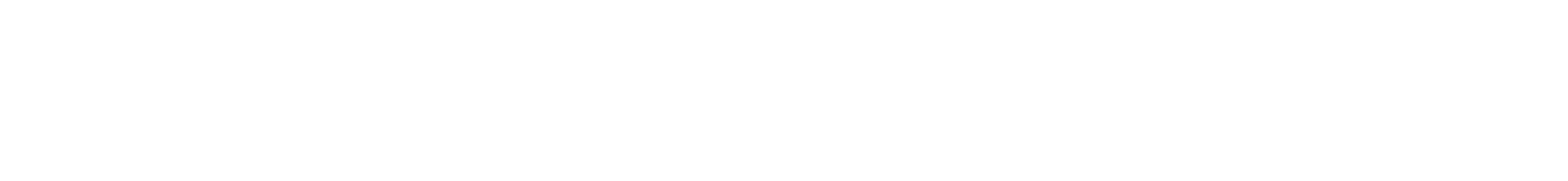 Silentsystem logo