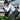 10 SX809 Ref. Headphones + 1 TX300 Mobi – image 6