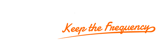 Silentsystem logo